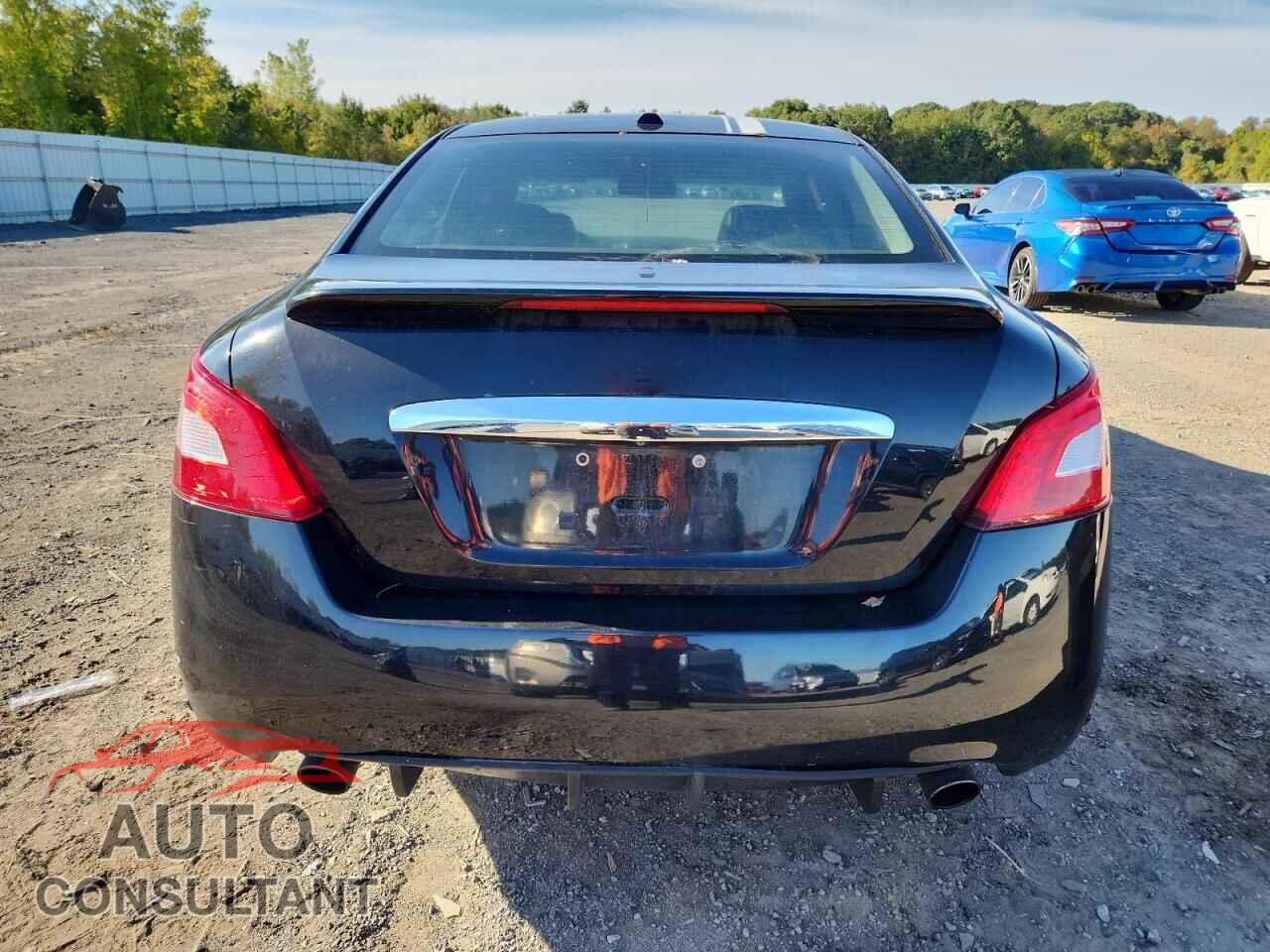 NISSAN MAXIMA 2011 - 1N4AA5AP2BC856434