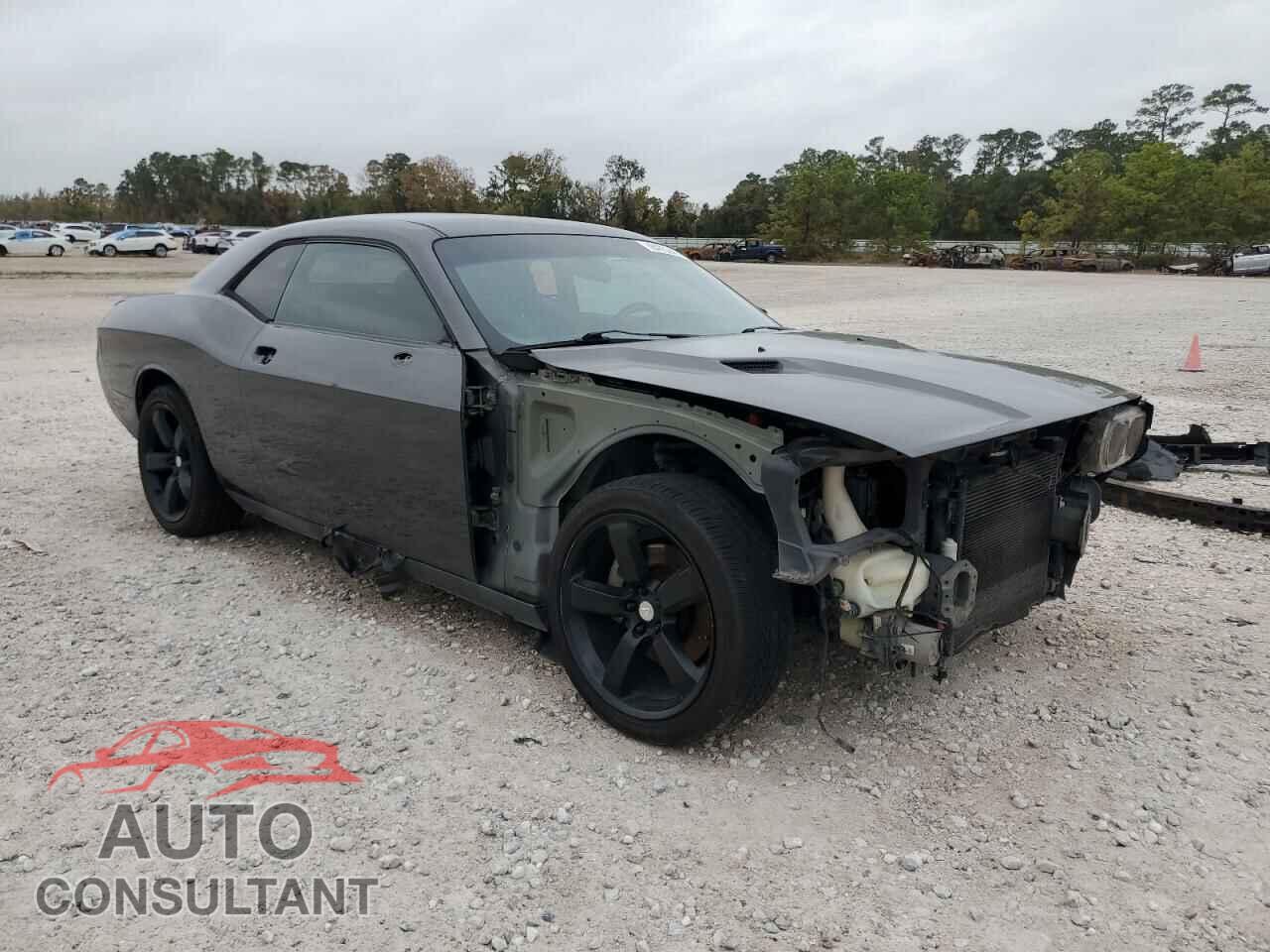DODGE CHALLENGER 2013 - 2C3CDYAG8DH634612