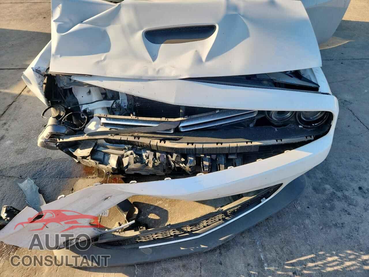 DODGE CHALLENGER 2023 - 2C3CDZJG5PH503941