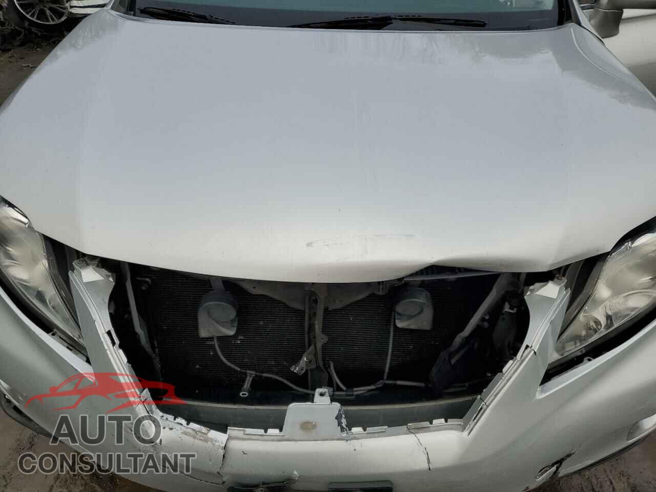 LEXUS RX350 2010 - 2T2BK1BA5AC039832
