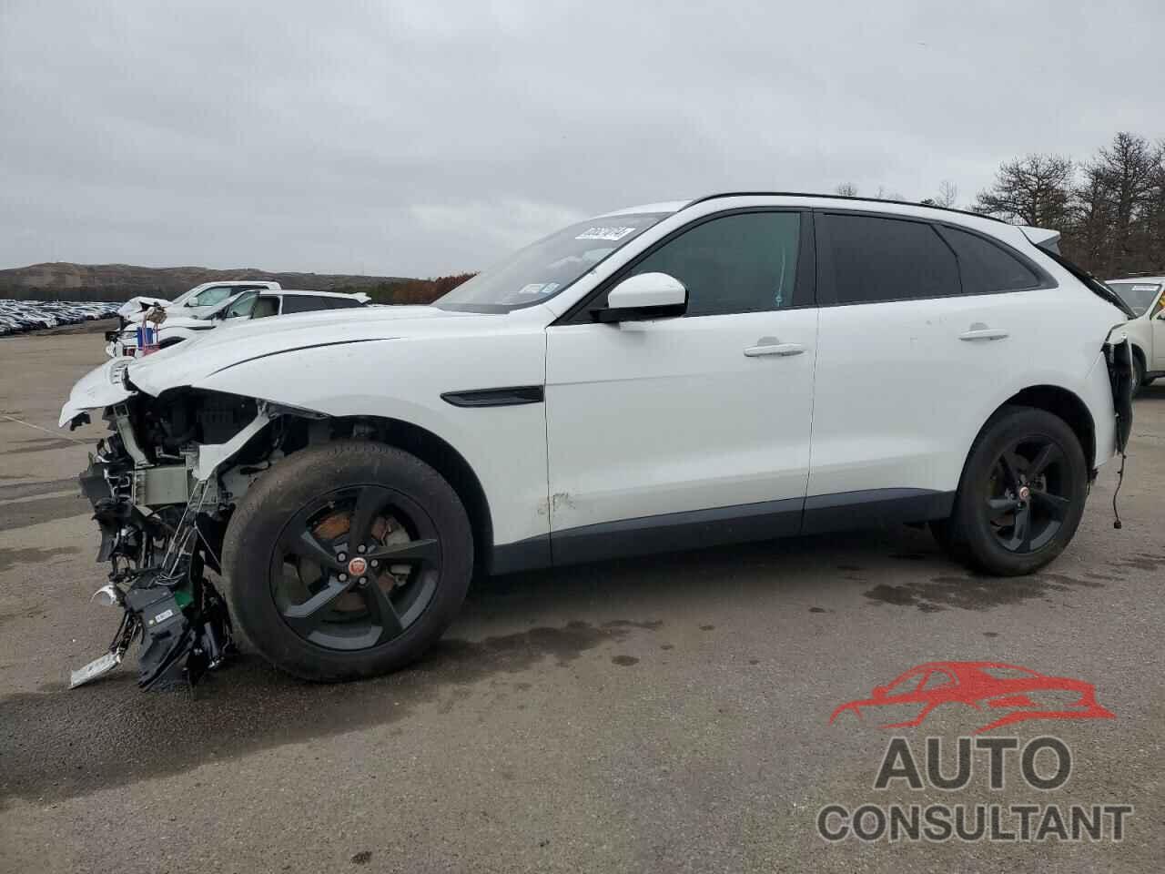 JAGUAR F-PACE 2019 - SADCJ2FX5KA393599