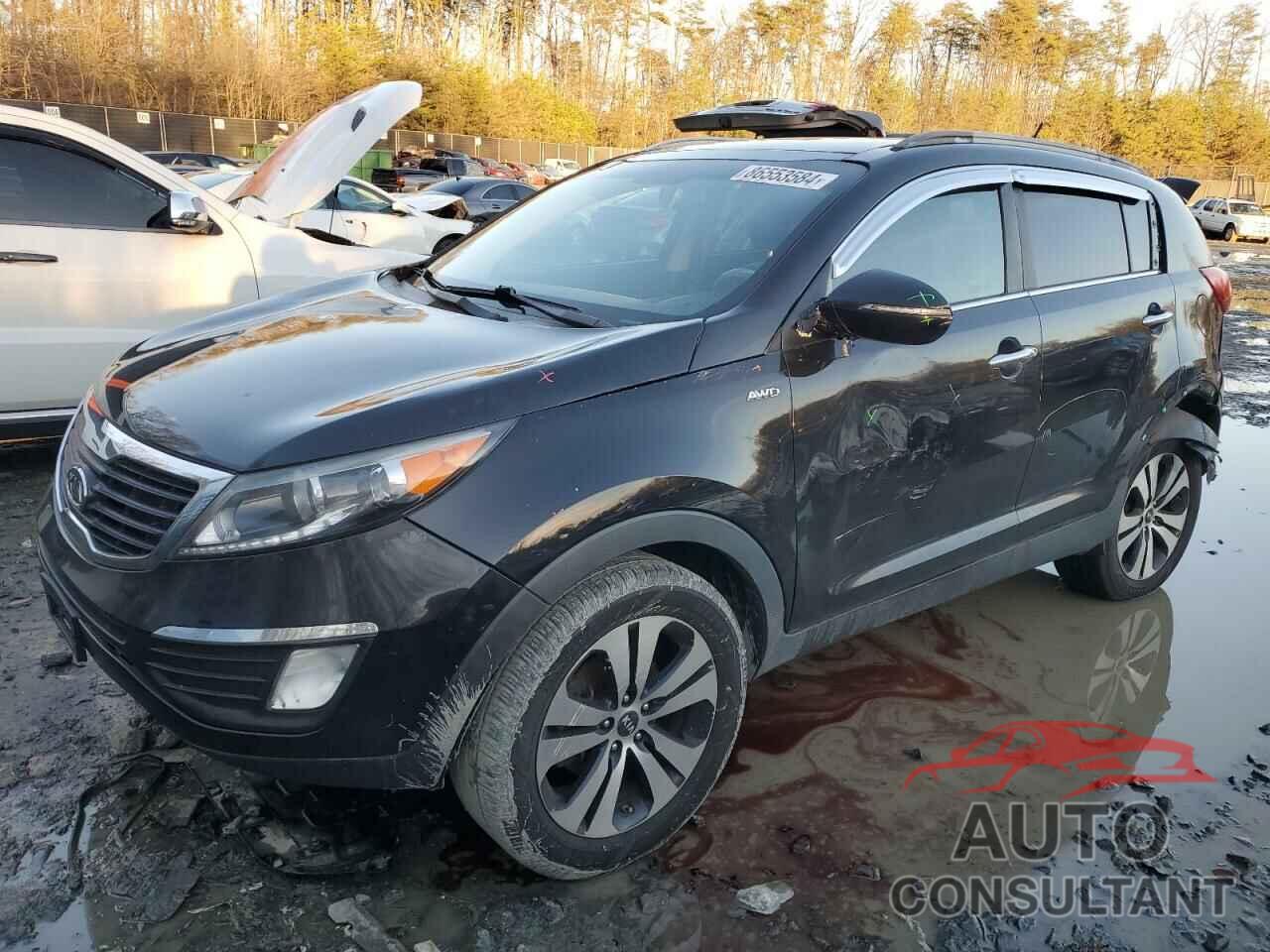 KIA SPORTAGE 2011 - KNDPCCA21B7092897