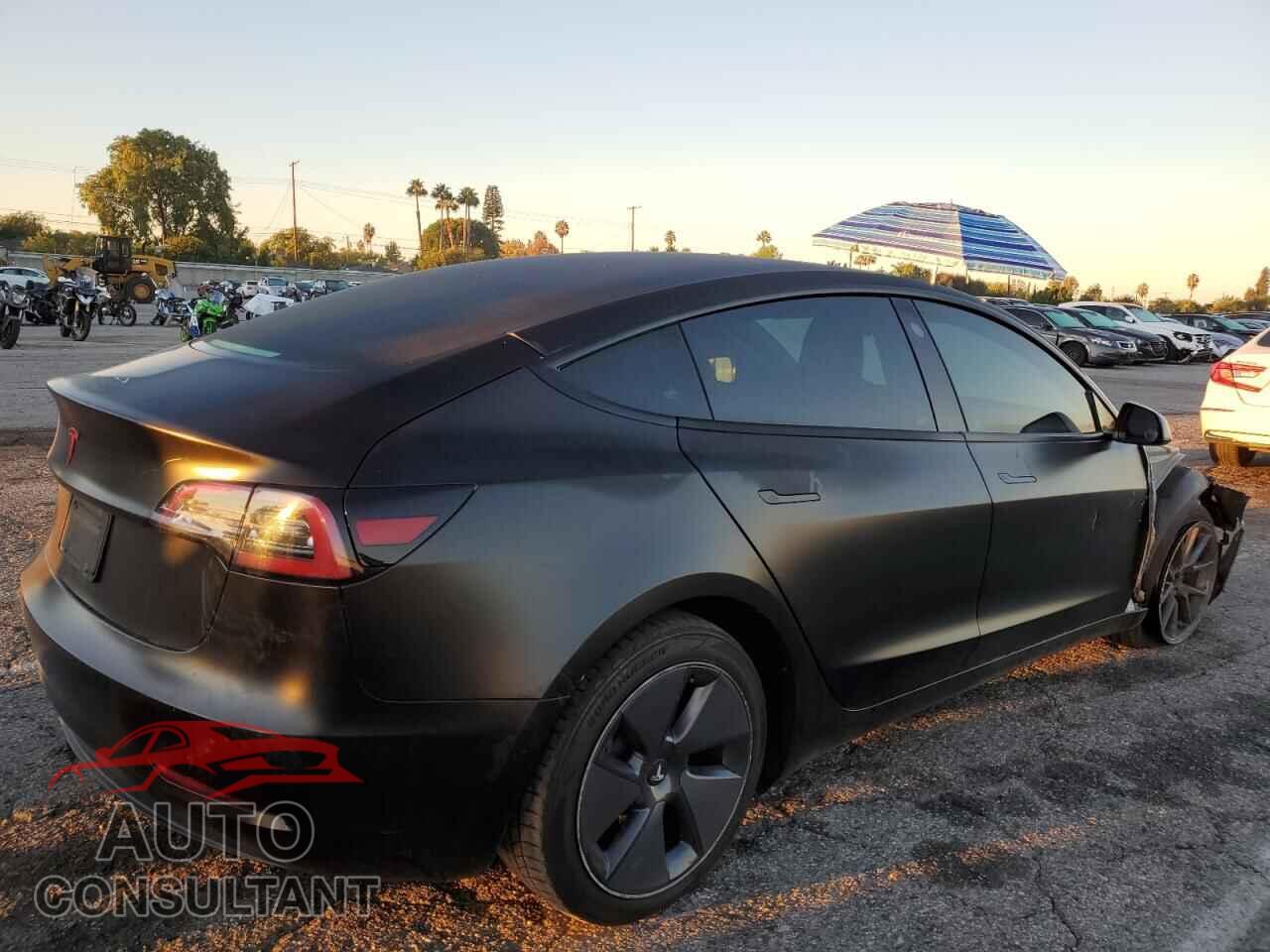 TESLA MODEL 3 2021 - 5YJ3E1EA7MF061259