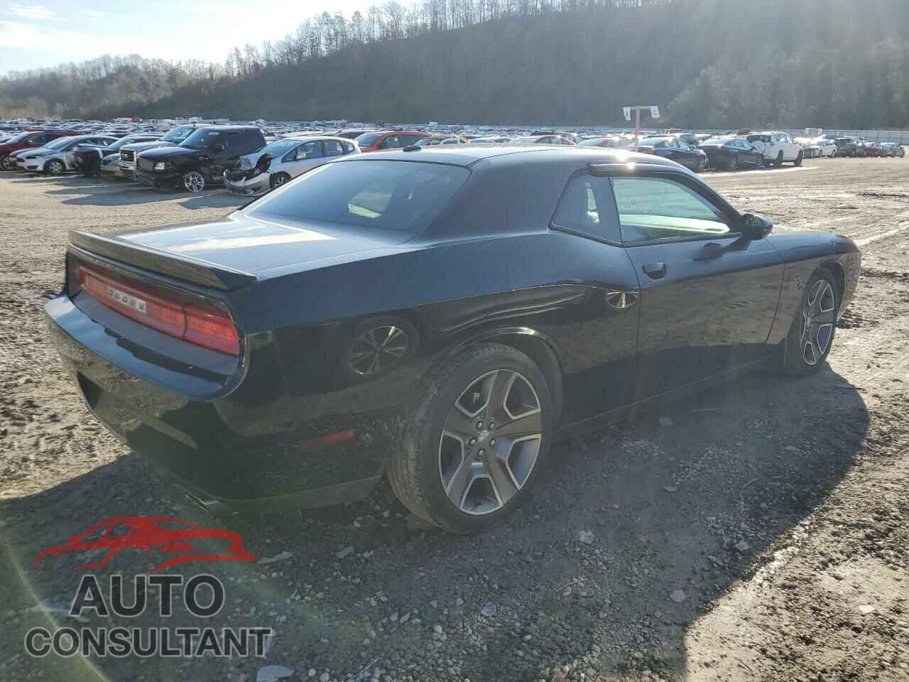 DODGE CHALLENGER 2012 - 2C3CDYBT2CH121012
