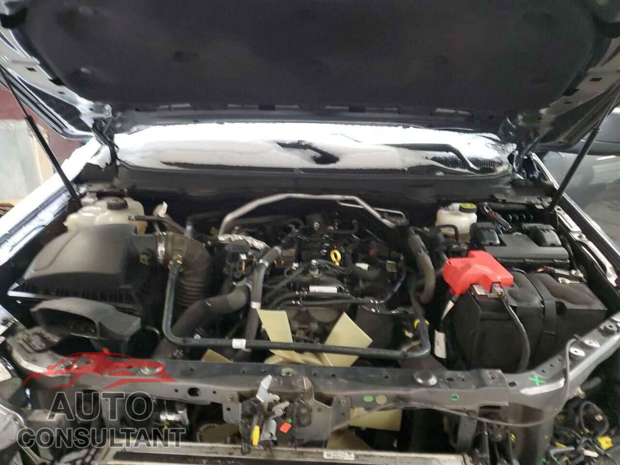 FORD RANGER 2019 - 1FTER1FH4KLA68155