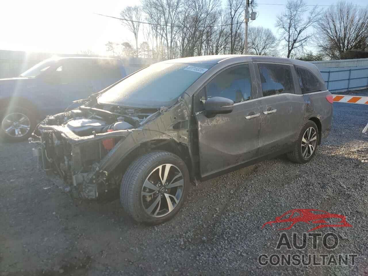 HONDA ODYSSEY 2021 - 5FNRL6H87MB002802