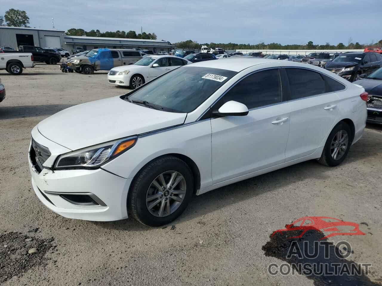 HYUNDAI SONATA 2017 - 5NPE24AF7HH489201