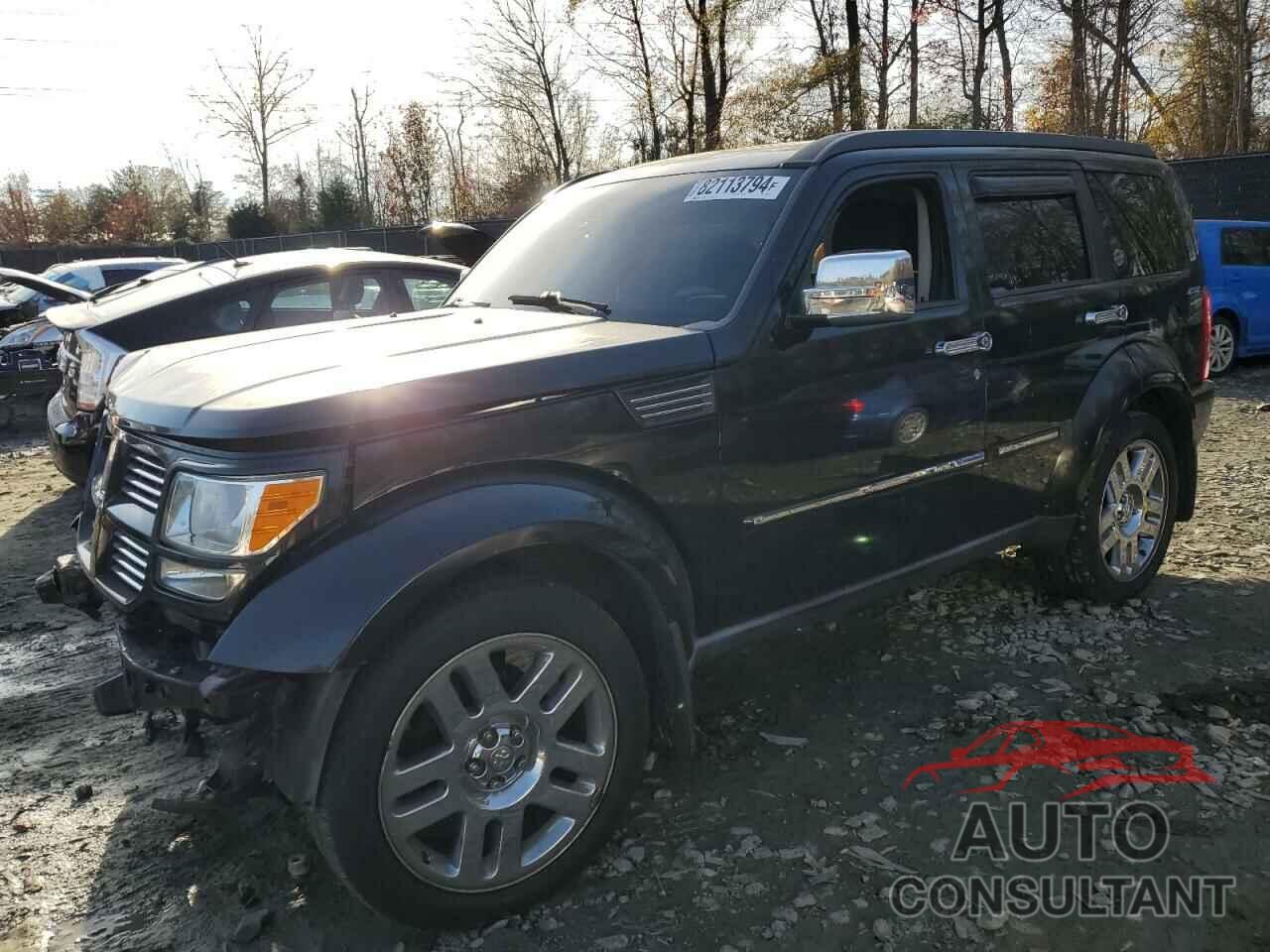 DODGE NITRO 2010 - 1D4PU5GX0AW119753