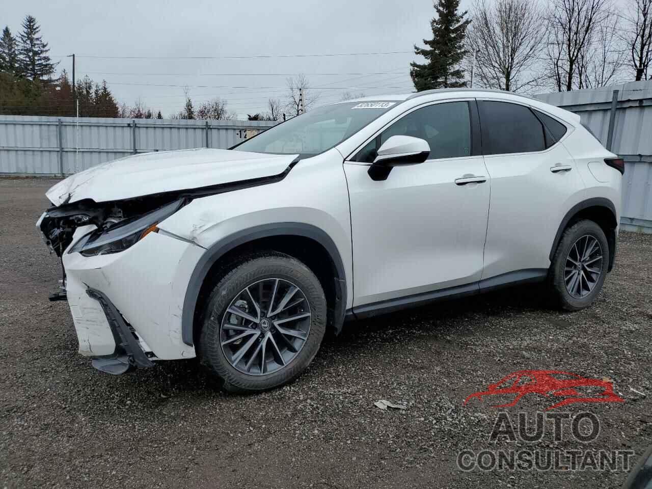 LEXUS NX 350H BA 2024 - 2T2GKCEZ4RC017089