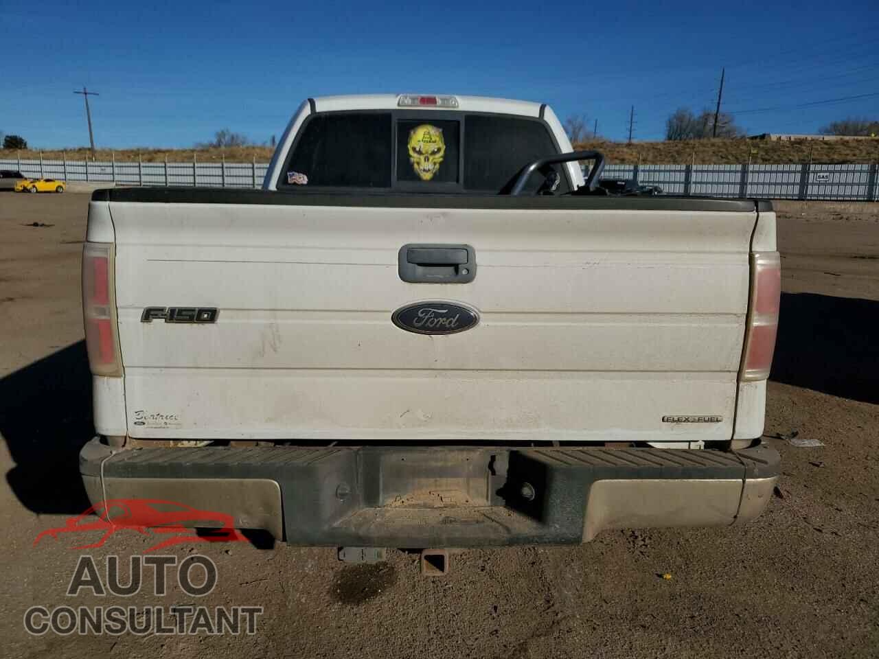 FORD F-150 2011 - 1FTFX1EF7BFA42044
