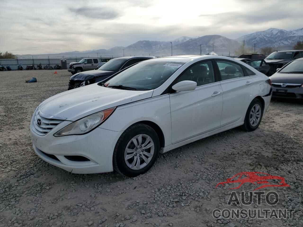 HYUNDAI SONATA 2016 - 5NPEB4AC8BH135197