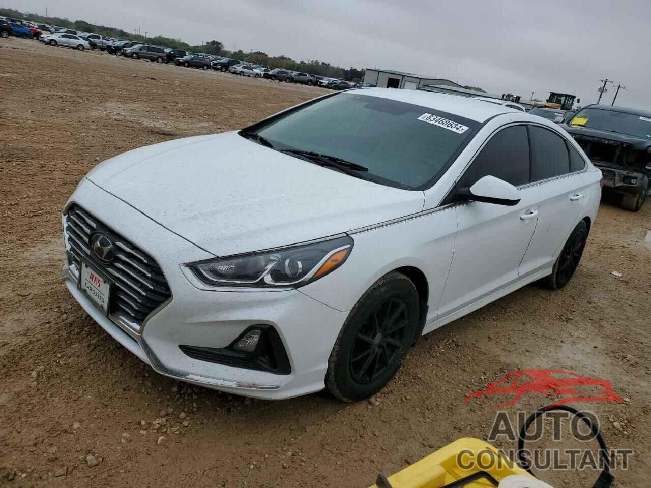 HYUNDAI SONATA 2019 - 5NPE24AF5KH810837