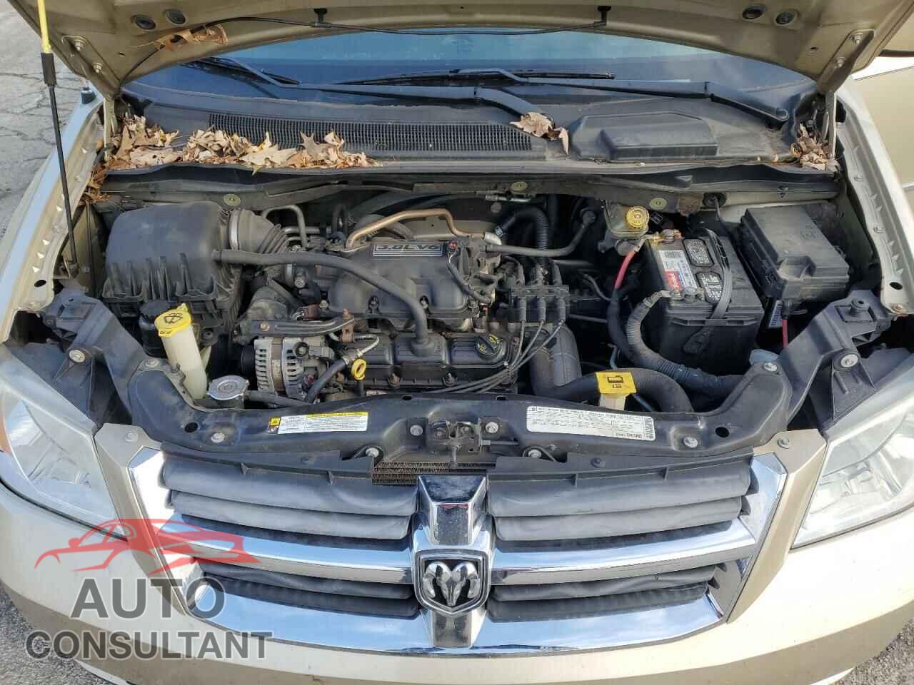 DODGE CARAVAN 2010 - 2D4RN5D13AR194588