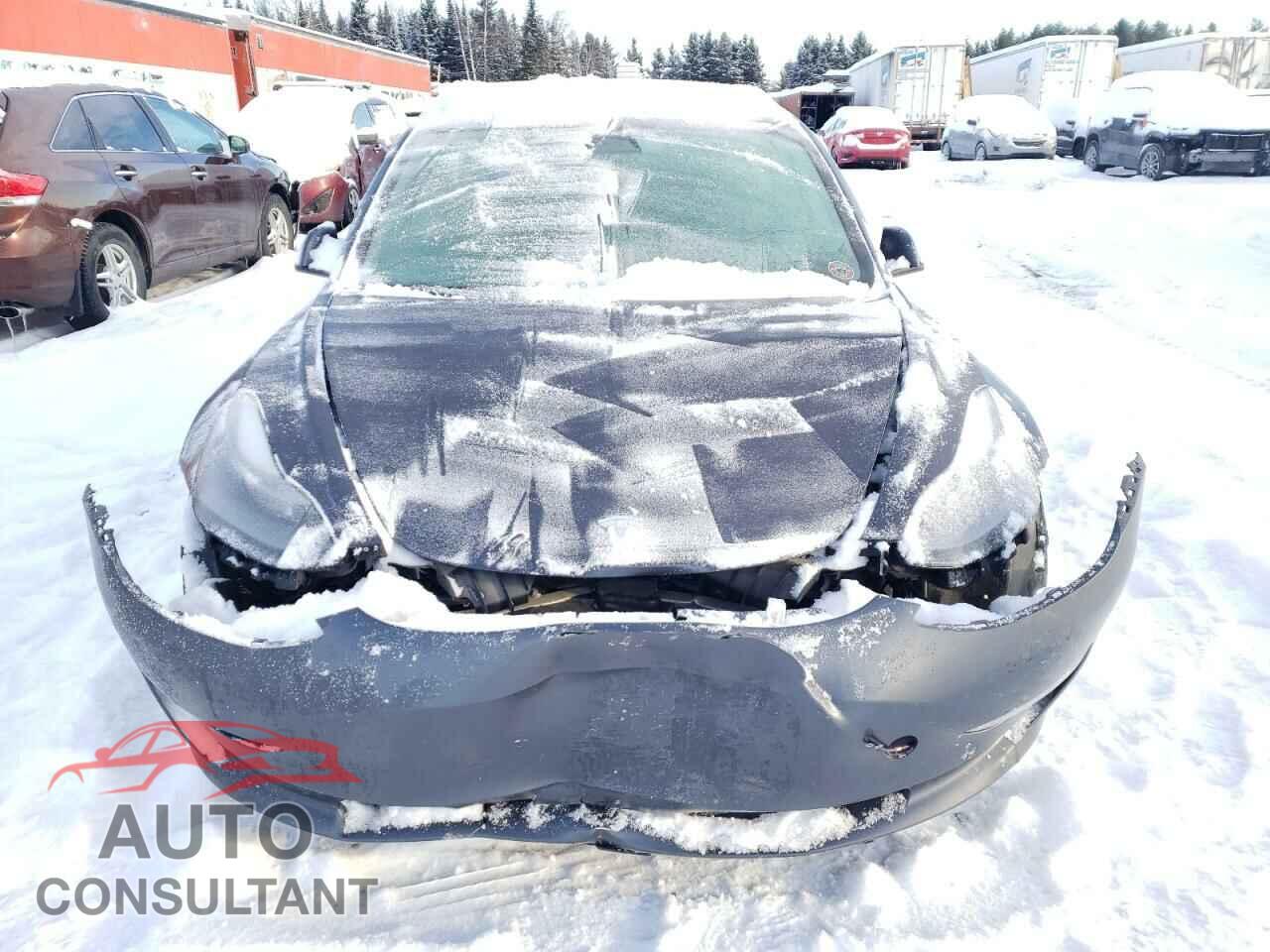 TESLA MODEL 3 2023 - LRW3E1FA9PC899953