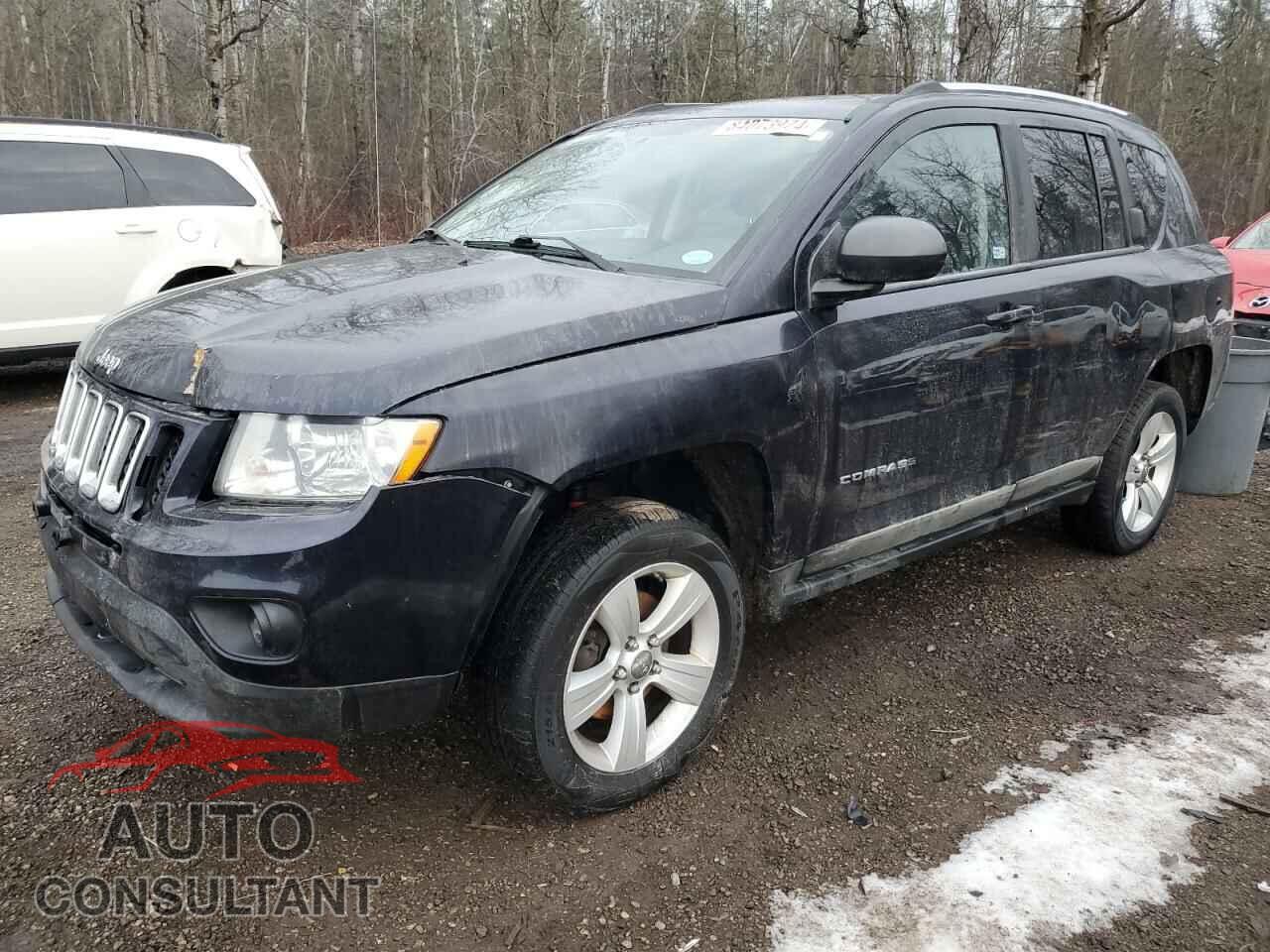 JEEP COMPASS 2011 - 1J4NF4FB3BD133524