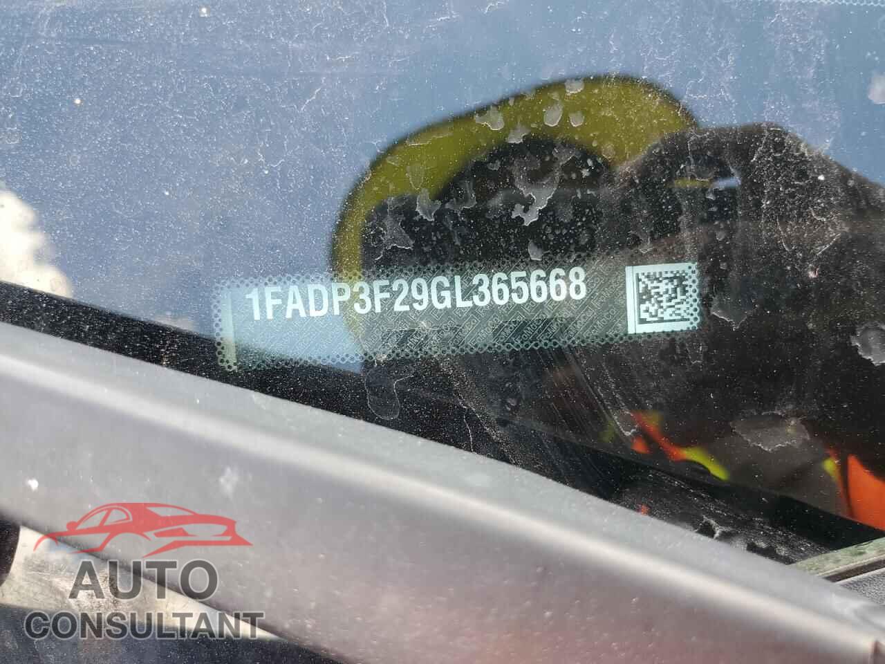 FORD FOCUS 2016 - 1FADP3F29GL365668