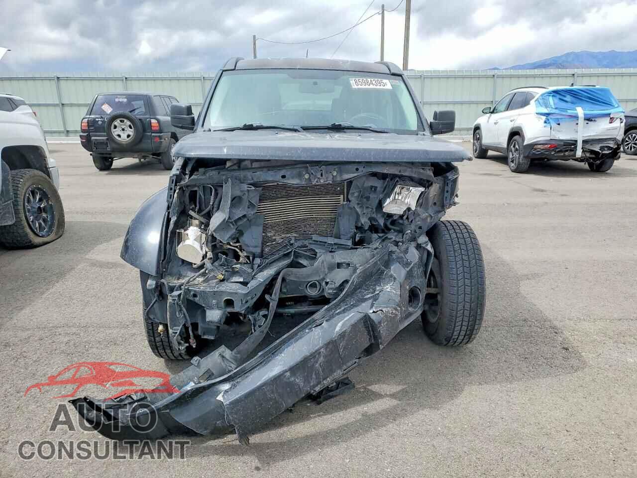 DODGE NITRO 2010 - 1D4PU5GK7AW158098