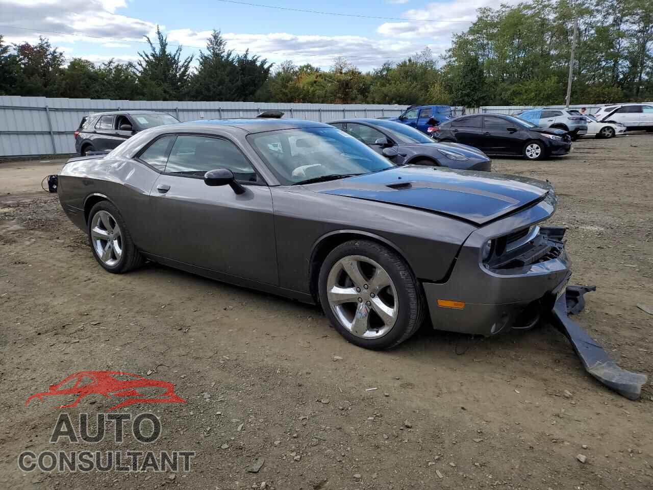 DODGE CHALLENGER 2013 - 2C3CDYBT4DH541789