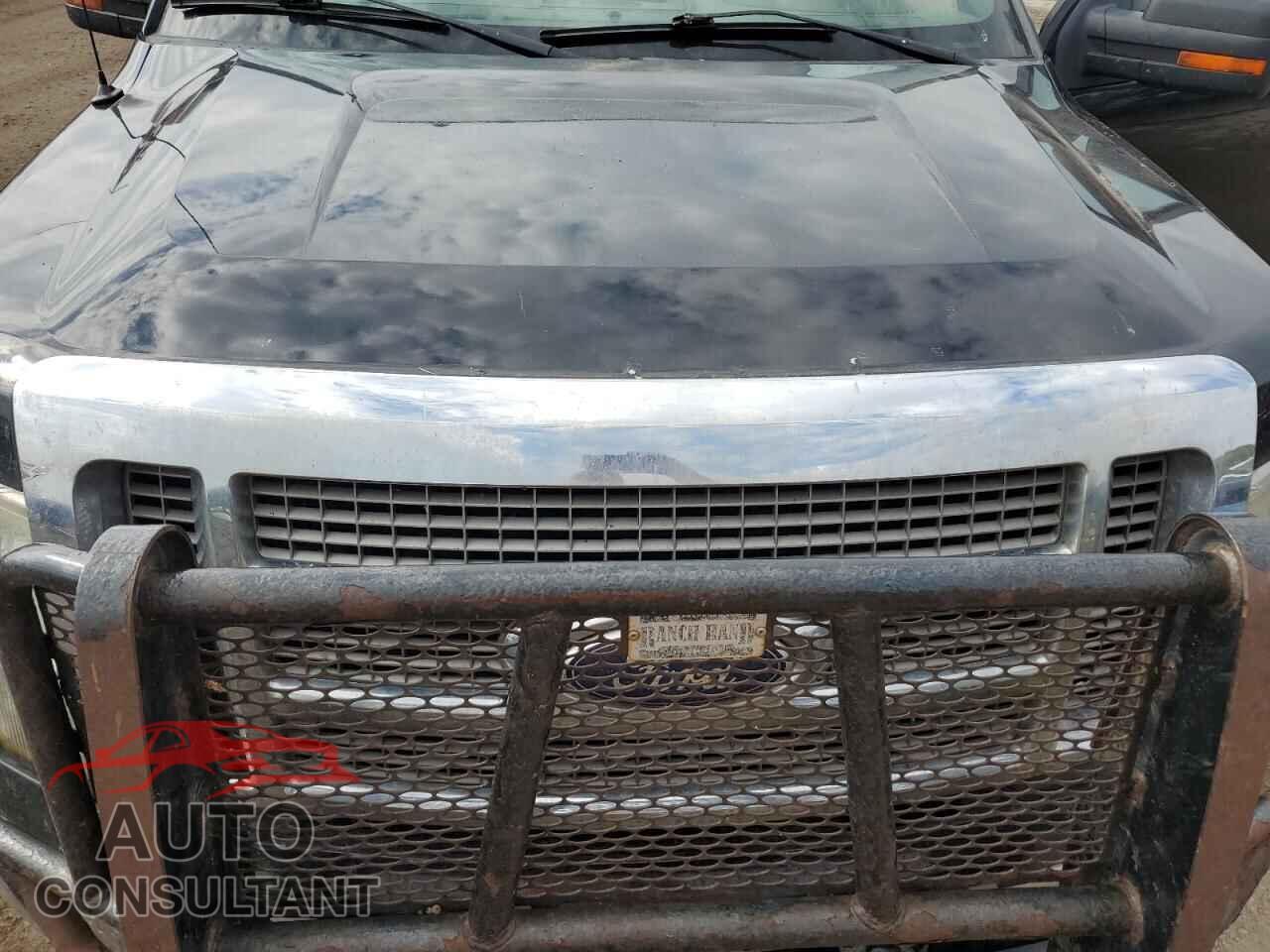 FORD F-150 2010 - 1FTFW1EV8AFB55932
