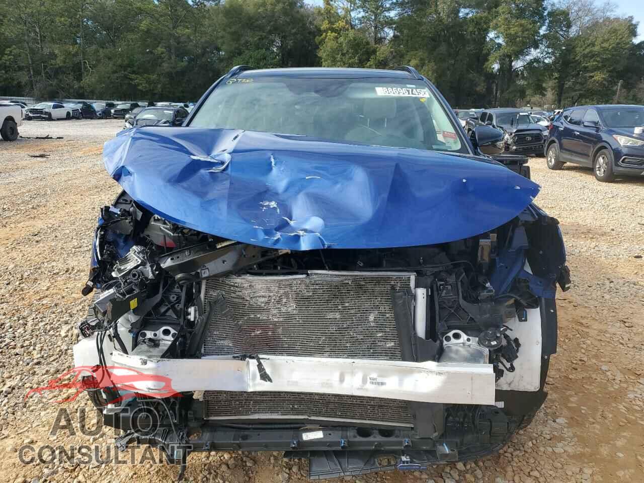 KIA SORENTO 2023 - 5XYRL4LC6PG242517