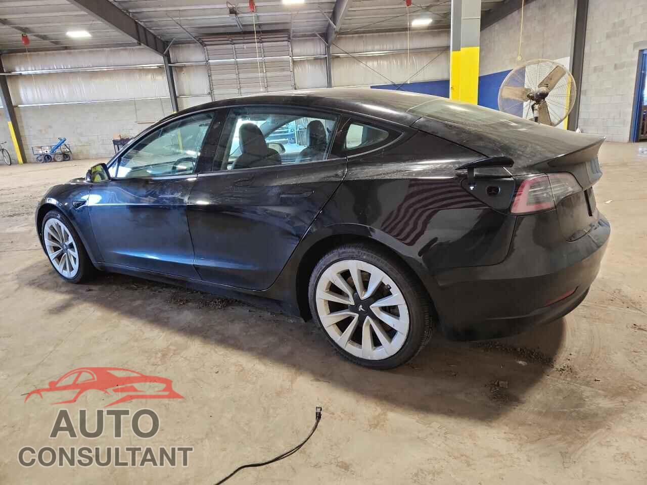 TESLA MODEL 3 2023 - 5YJ3E1EA0PF446859
