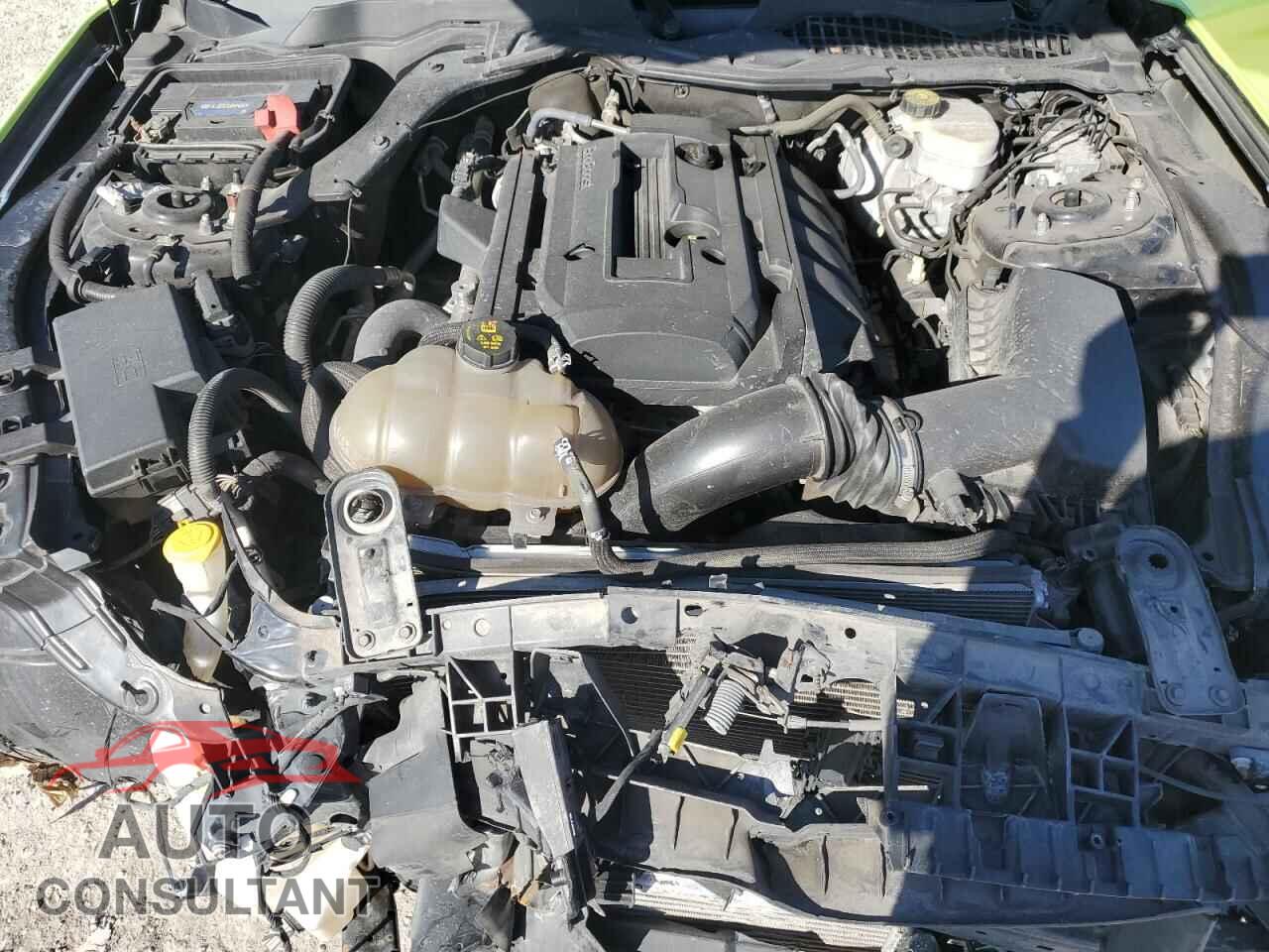 FORD ALL Models 2019 - 1FA6P8TH3K5181211
