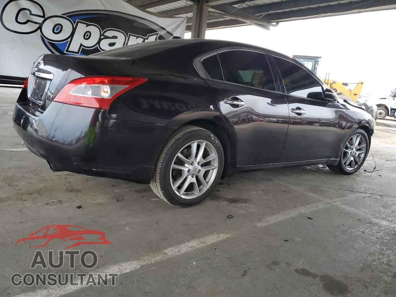 NISSAN MAXIMA 2011 - 1N4AA5AP3BC852666
