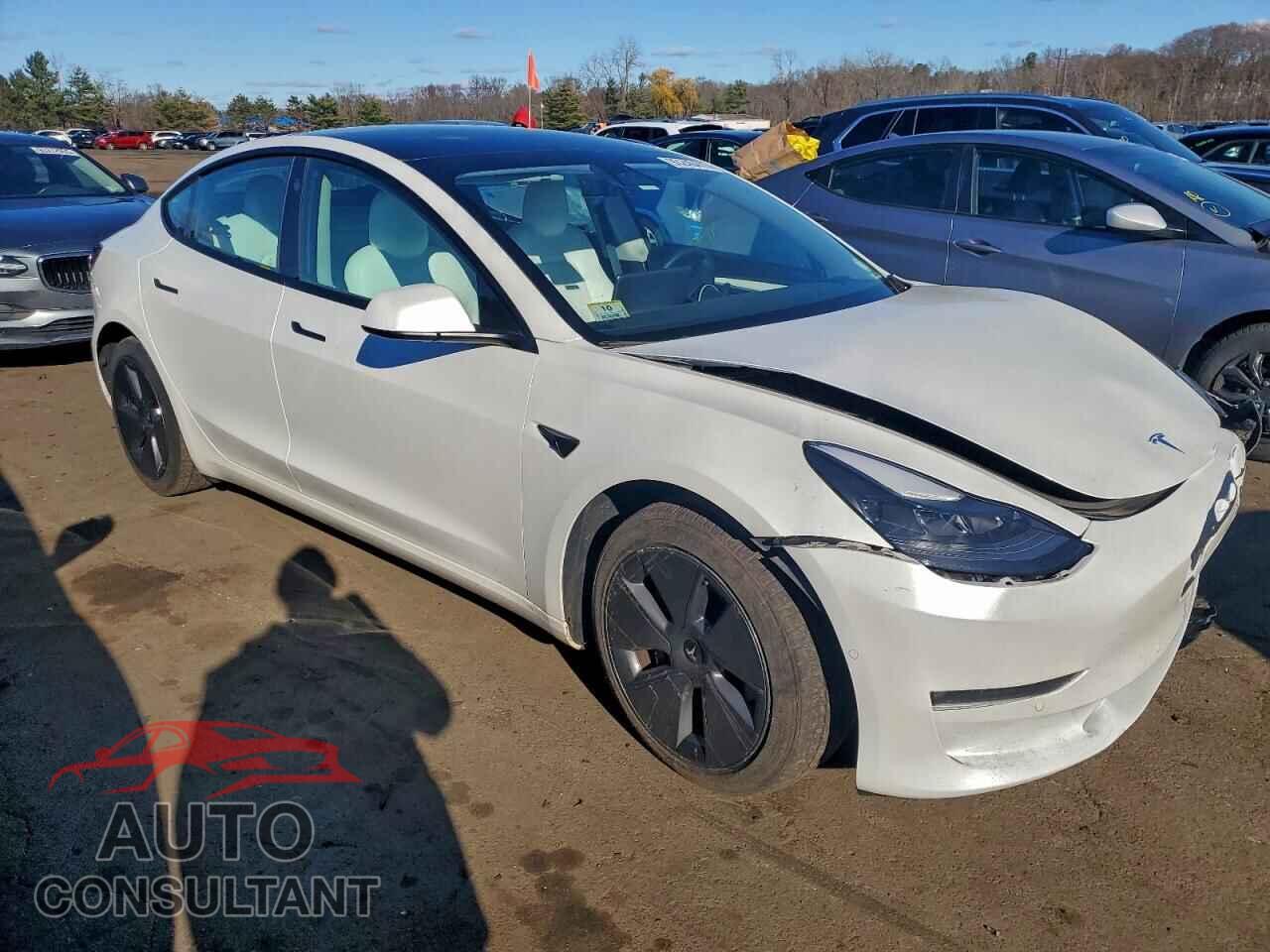 TESLA MODEL 3 2021 - 5YJ3E1EB9MF020141