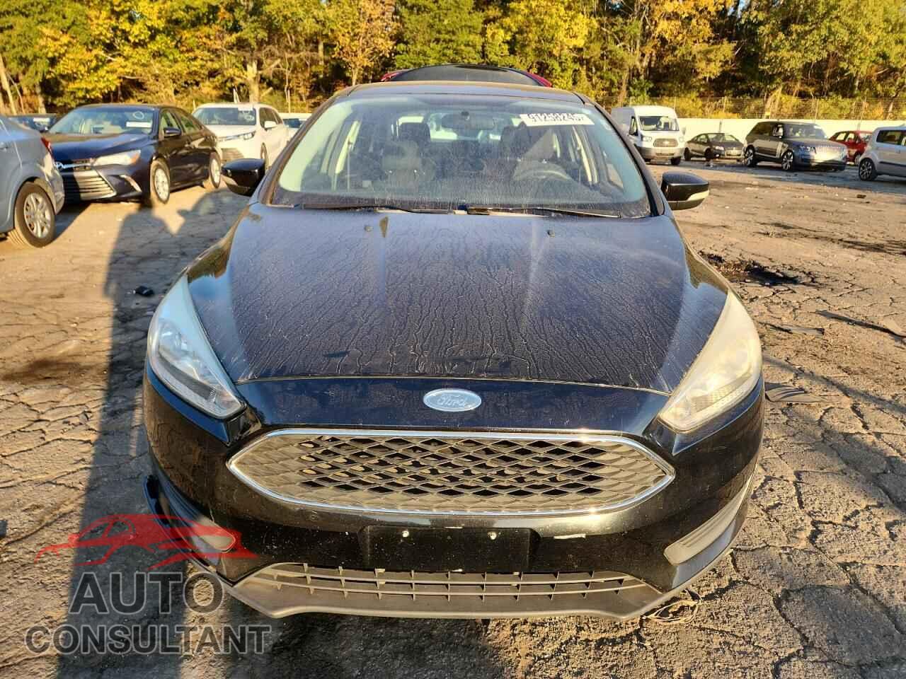 FORD FOCUS 2016 - 1FADP3F29GL319886