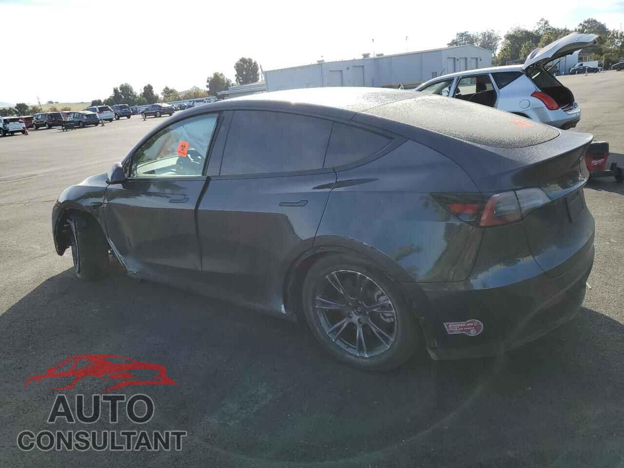 TESLA MODEL Y 2024 - 7SAYGDED8RF201874