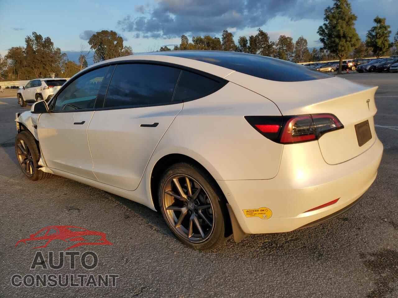 TESLA MODEL 3 2021 - 5YJ3E1EA7MF059009