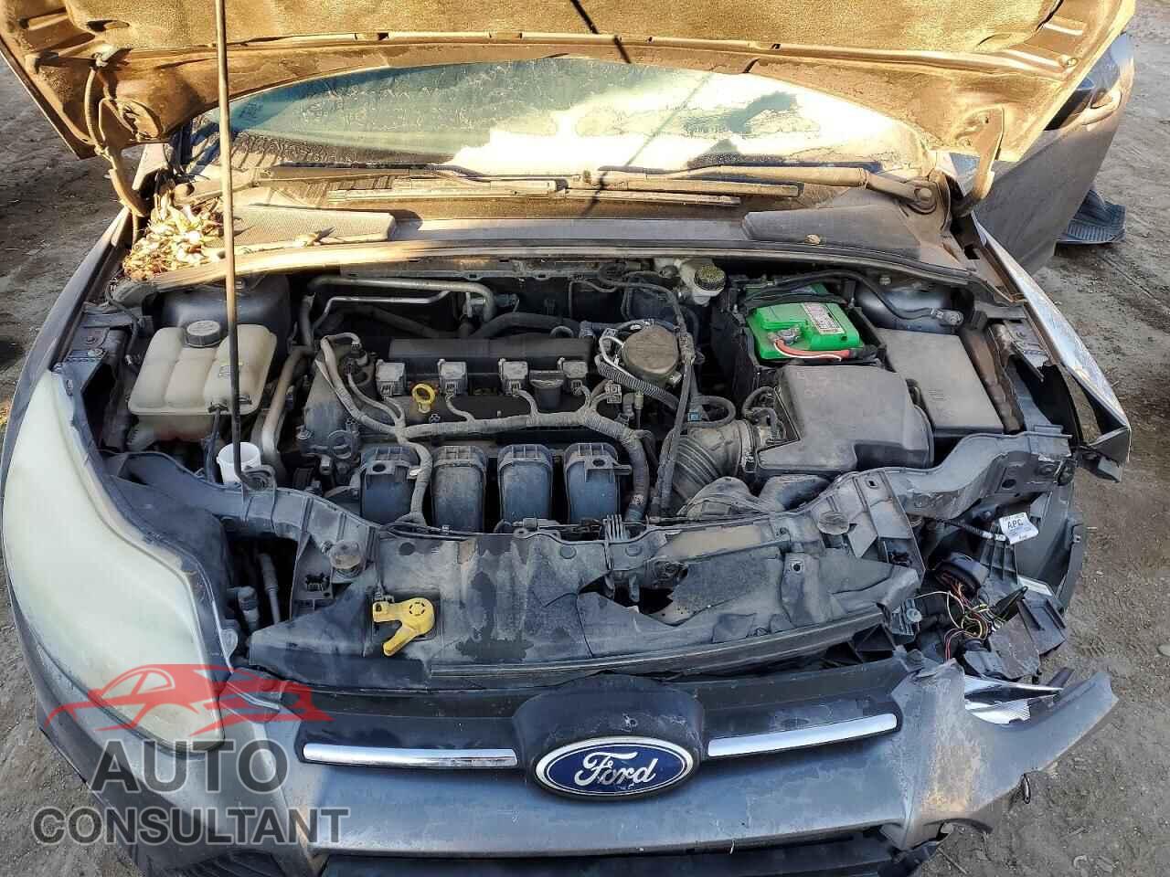 FORD FOCUS 2012 - 1FAHP3F21CL262658