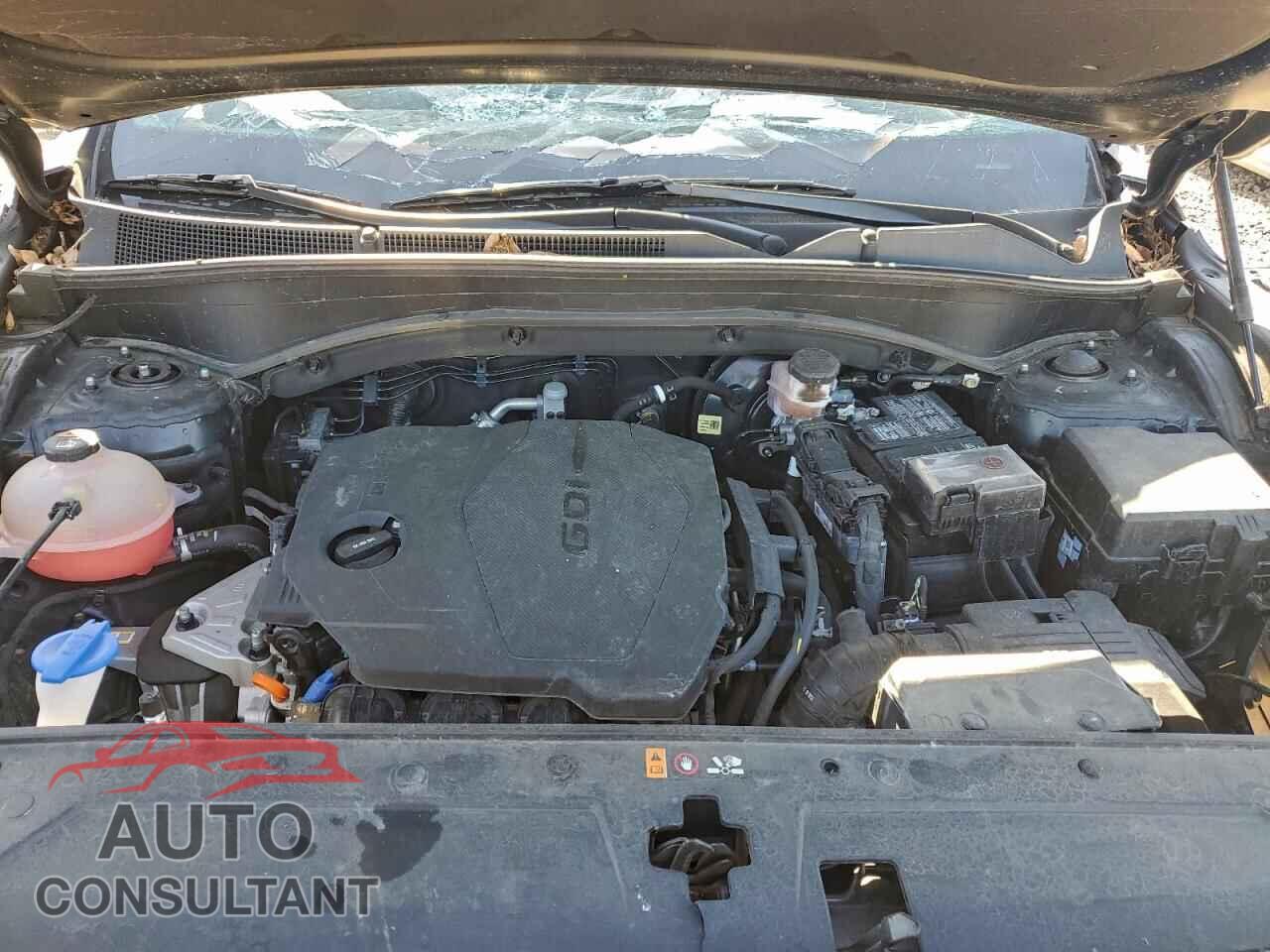 HYUNDAI SANTA FE 2023 - 5NMS14AJ9PH641114