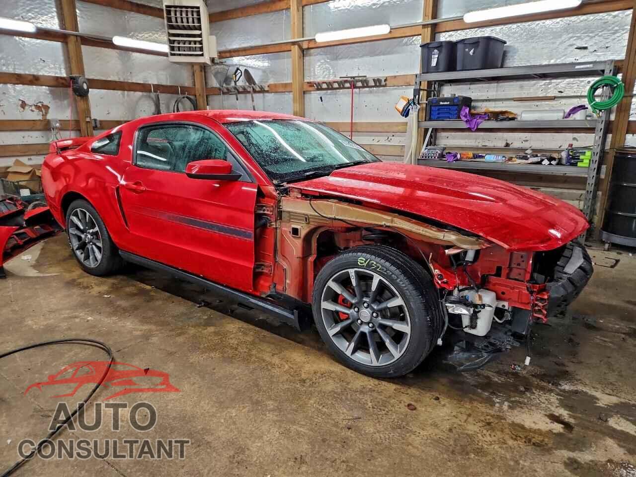 FORD MUSTANG 2011 - 1ZVBP8CF1B5124848