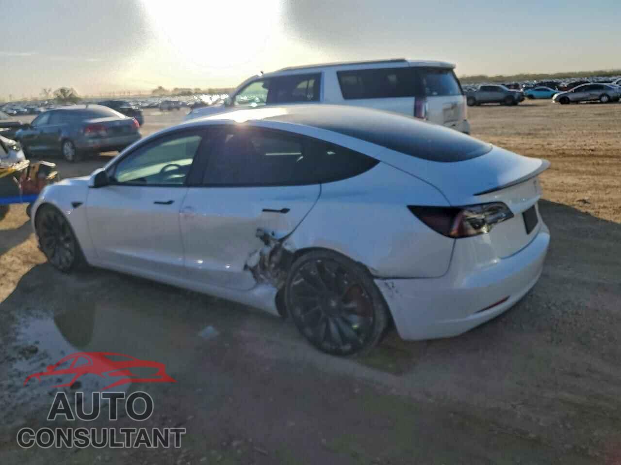 TESLA MODEL 3 2021 - 5YJ3E1EC8MF991043