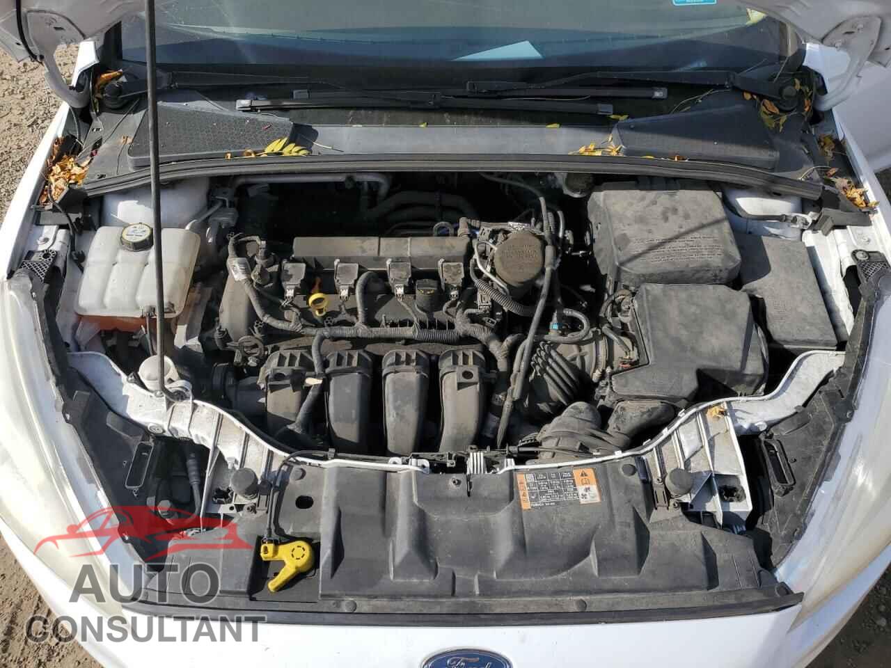 FORD FOCUS 2016 - 1FADP3E23GL264563