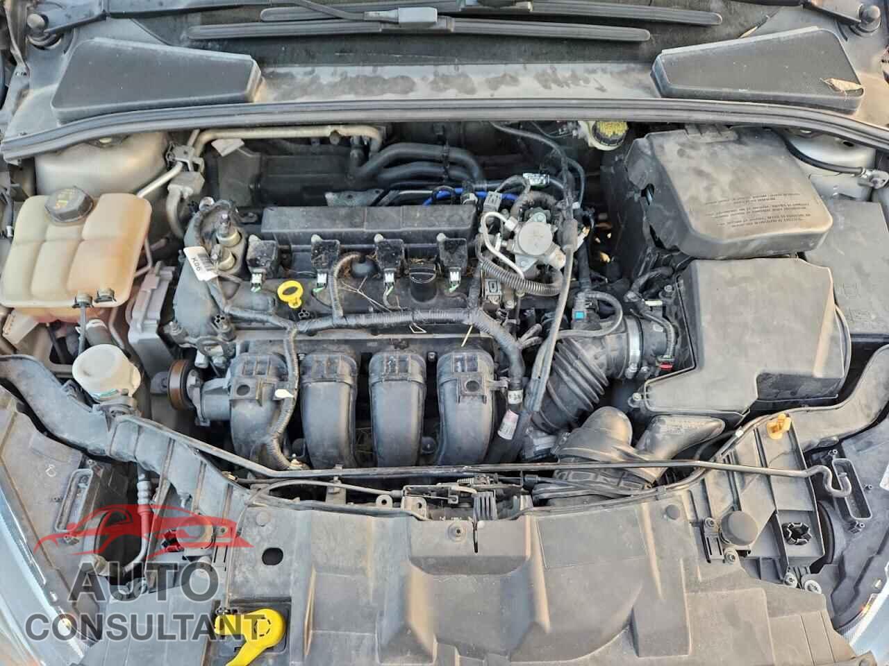 FORD FOCUS 2016 - 1FADP3F29GL314641