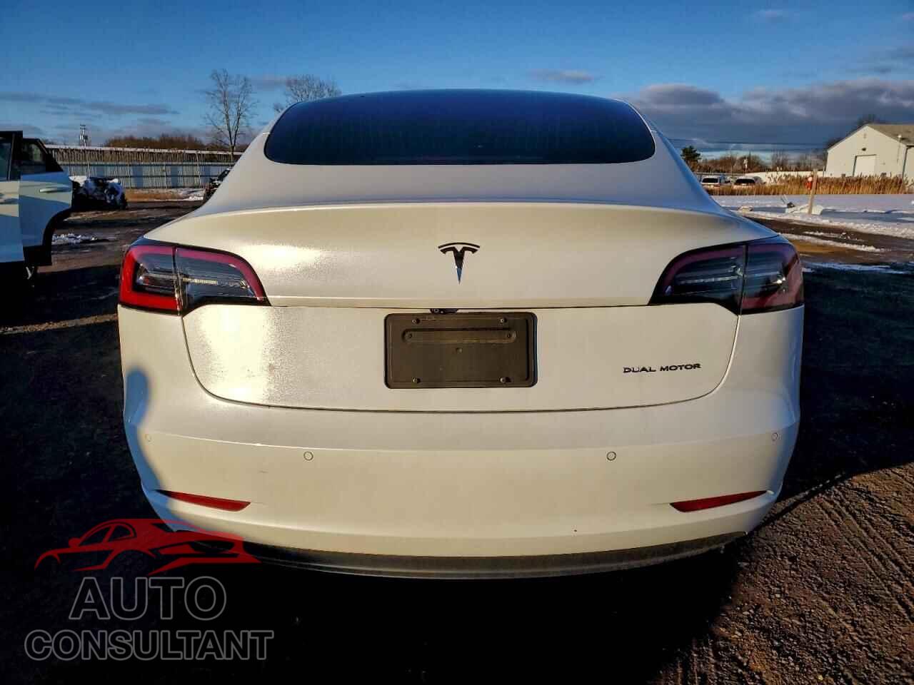 TESLA MODEL 3 2019 - 5YJ3E1EB7KF515693