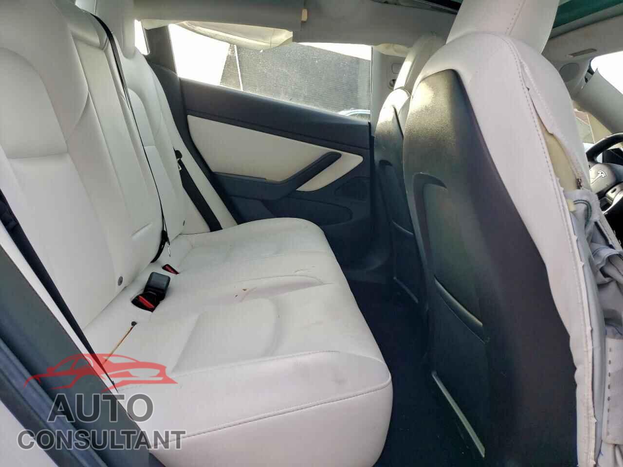 TESLA MODEL 3 2019 - 5YJ3E1EB6KF392498