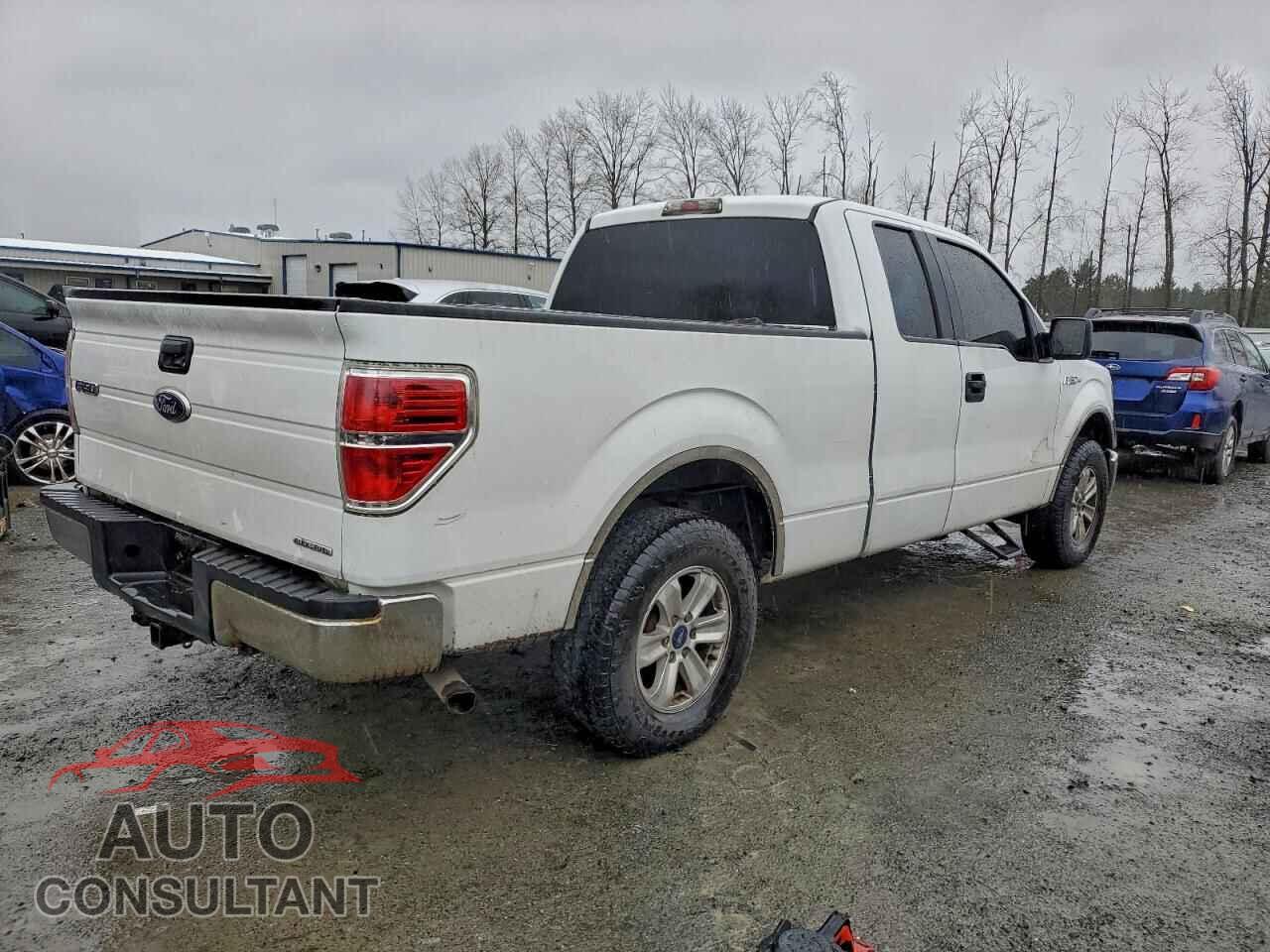 FORD F-150 2011 - 1FTEX1CM2BFD06560