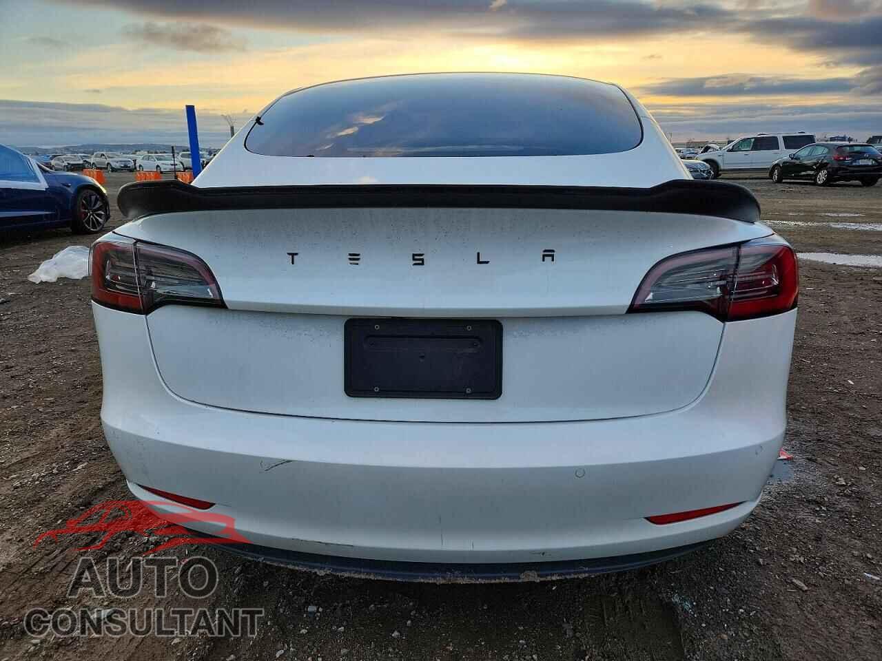 TESLA MODEL 3 2021 - 5YJ3E1EA1MF100489