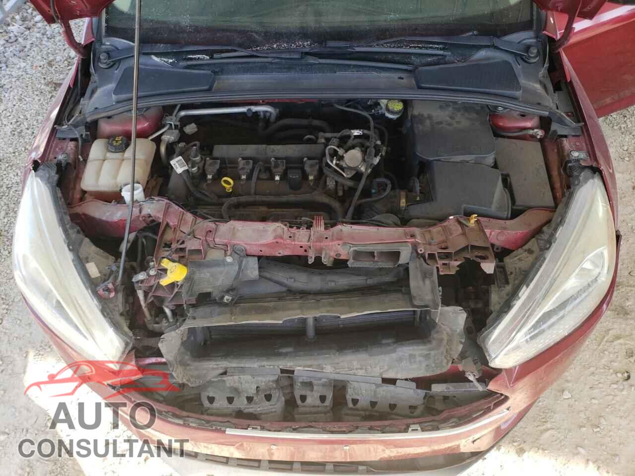 FORD FOCUS 2016 - 1FADP3F26GL394562