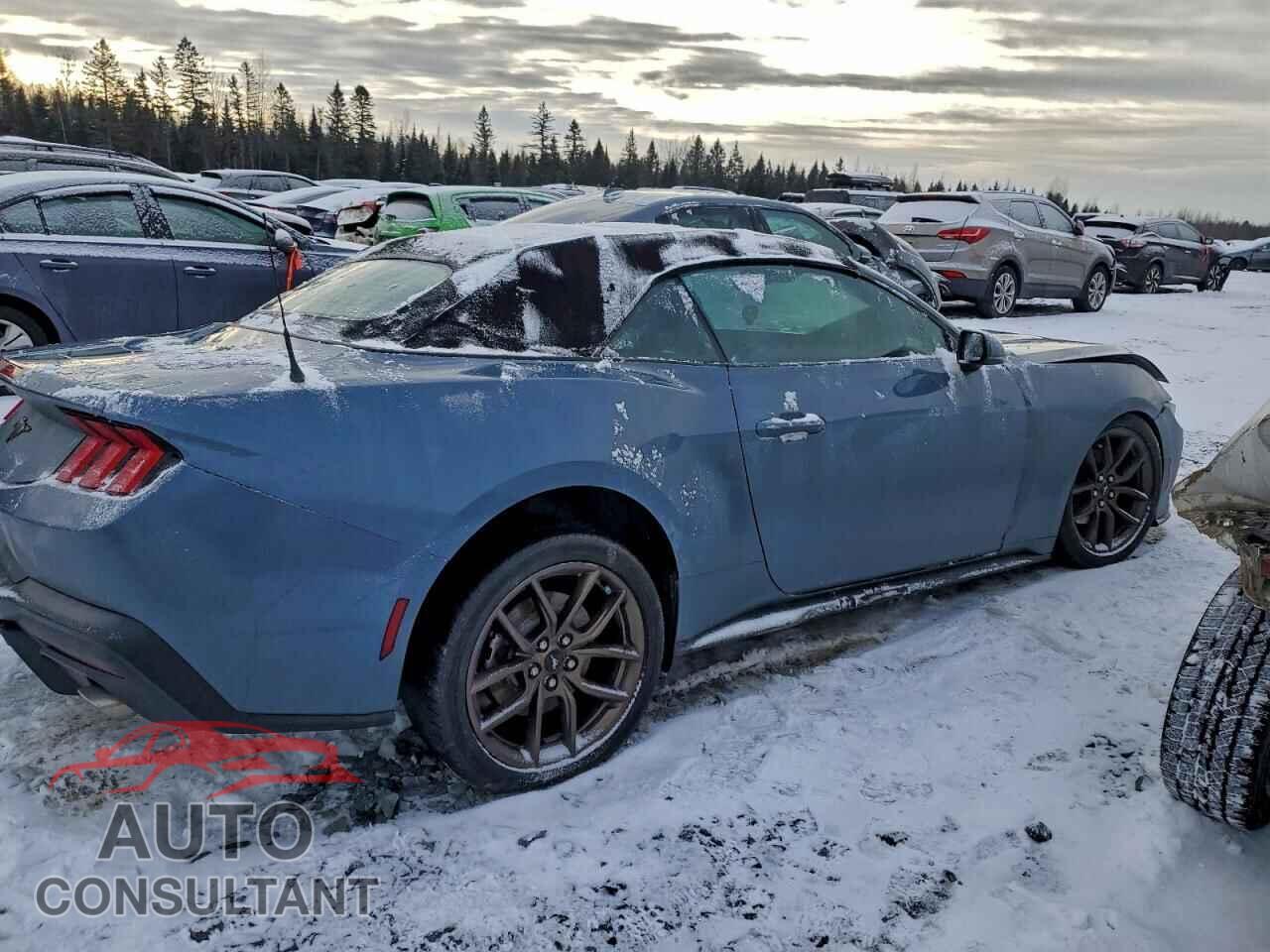 FORD ALL Models 2024 - 1FAGP8UH4R5103386