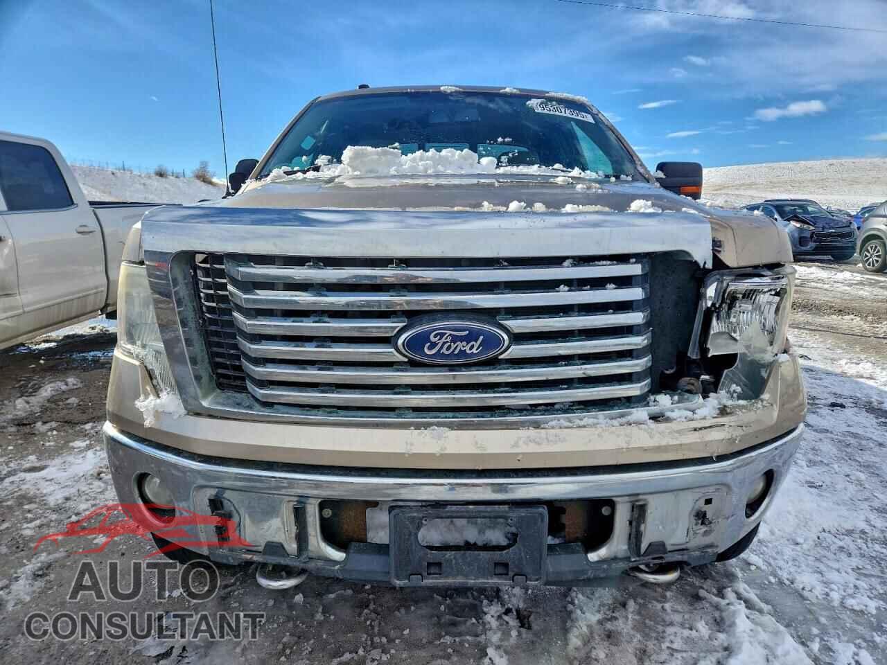 FORD F-150 2011 - 1FTFX1EF2BFB56744