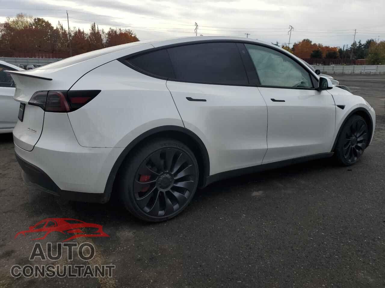 TESLA MODEL Y 2023 - 7SAYGDEF2PF773392
