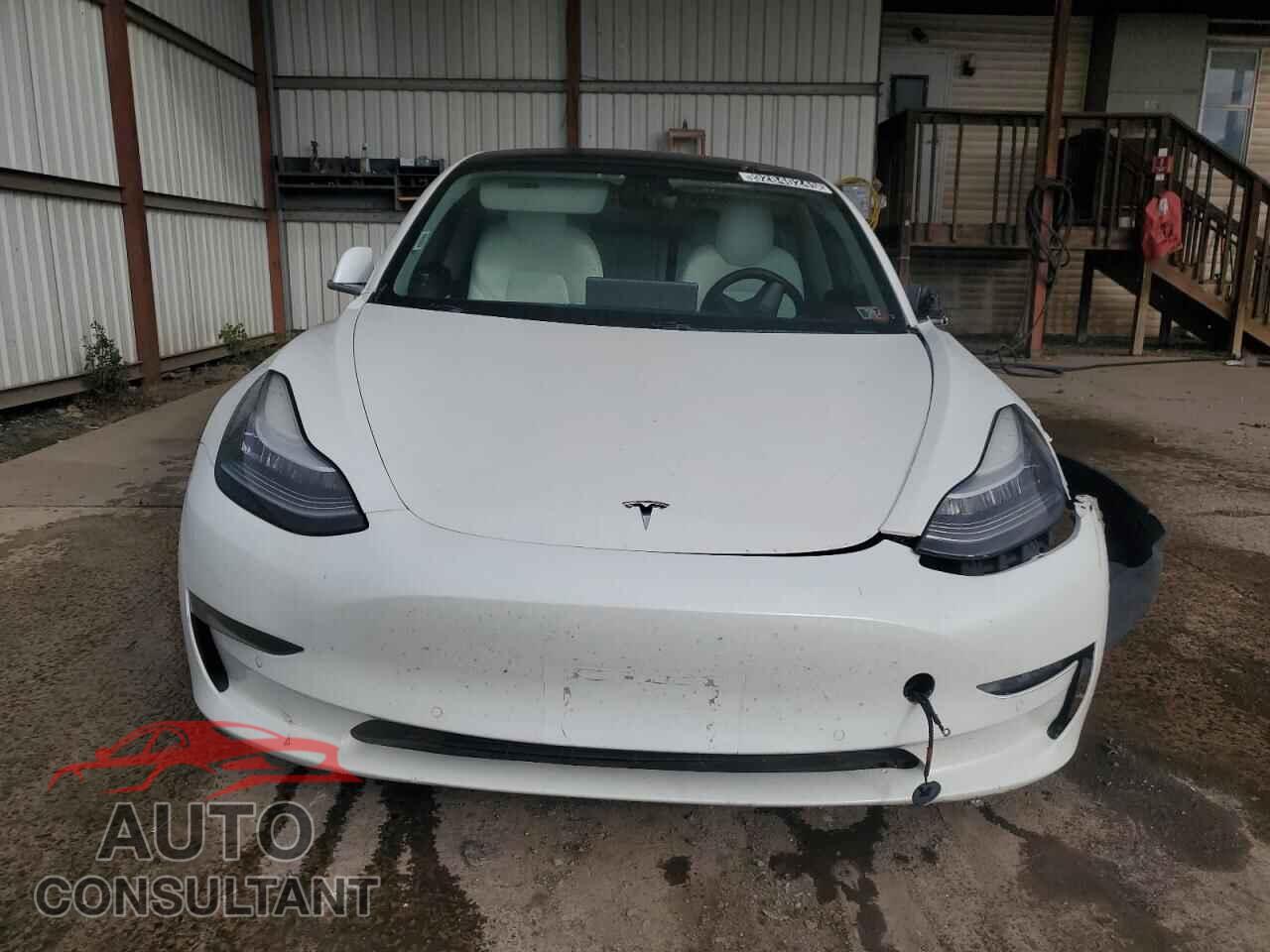 TESLA MODEL 3 2019 - 5YJ3E1EB8KF440289