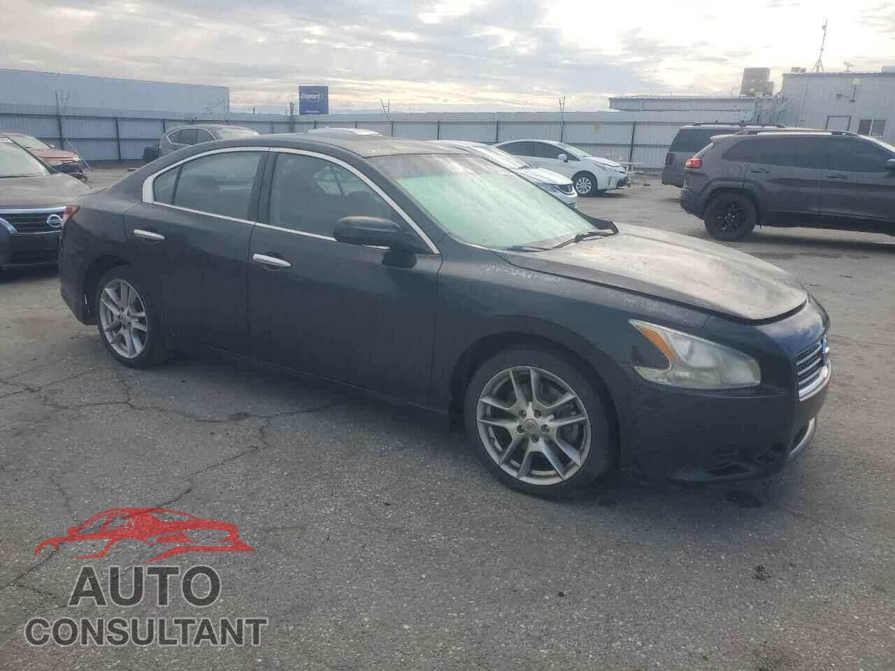 NISSAN MAXIMA 2010 - 1N4AA5AP1AC828963