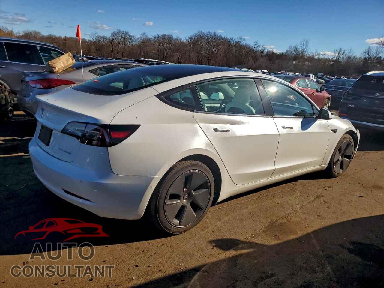 TESLA MODEL 3 2021 - 5YJ3E1EB9MF020141