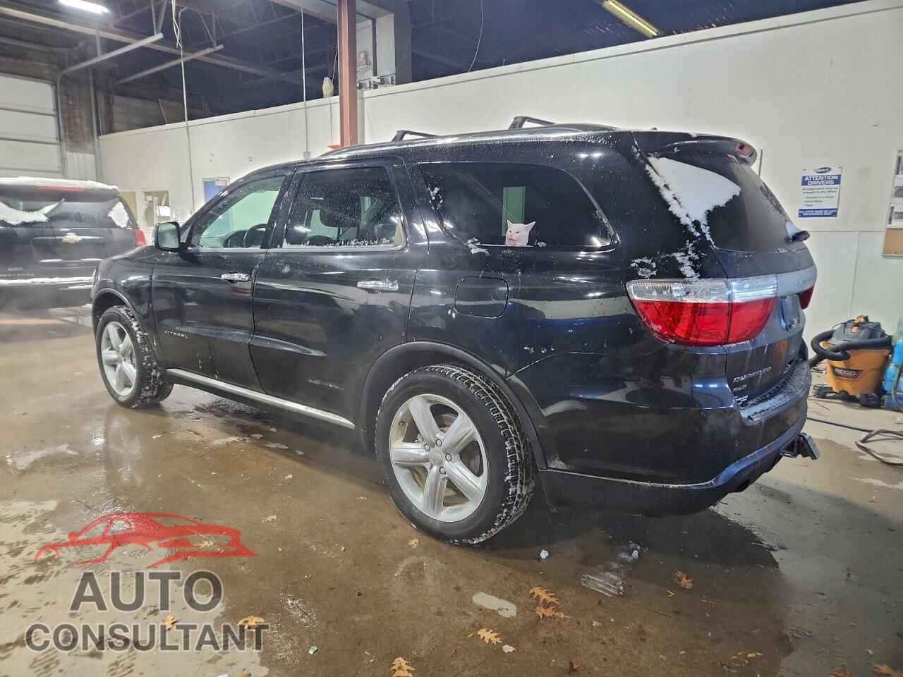 DODGE DURANGO 2013 - 1C4SDJET1DC666343