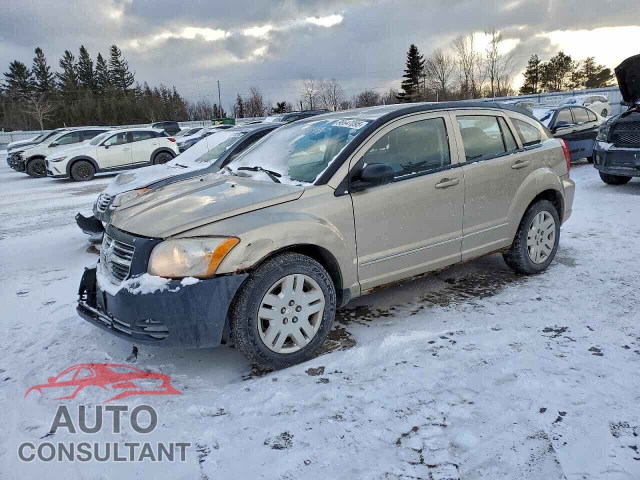 DODGE CALIBER 2010 - 1B3CB4HAXAD527454